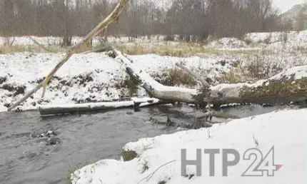 Предприятие загрязнило реку Тунгуча в Нижнекамском районе - НТР 24