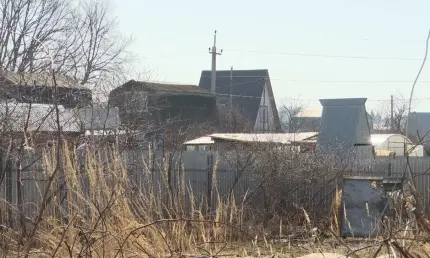 Новый закон о земле: как сохранить свой участок от изъятия - НТР 24