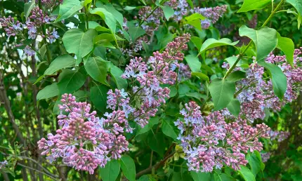 В Татарстане 28 мая прогнозируют тёплый день с южным ветром - НТР 24