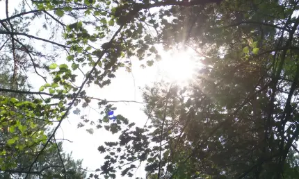 Вильфанд предупредил об аномальной жаре до +35 градусов - НТР 24