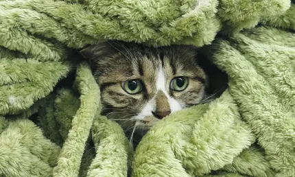 Вместе с заморозками в Татарстан придут дождь с грозой, туман и сильный ветер - НТР 24