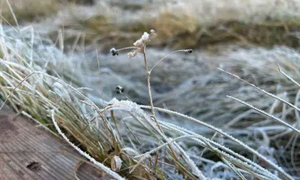 Вильфанд внезапно изменил прогноз: морозы и ливни обрушатся уже с 10 мая - НТР 24