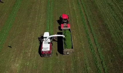 Нижнекамские фермеры заготавливают люцерну для качественного сенажа - НТР 24