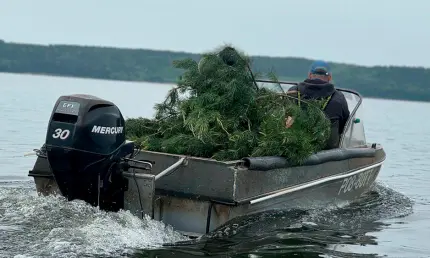 В Нижнекамске на озере Каракуль построили «детский сад» для рыбы - НТР 24