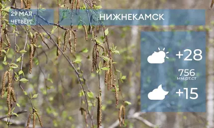 Прогноз погоды в Нижнекамске на 29-е мая 2025 года - НТР 24
