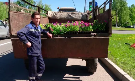 В Нижнекамске высадят 200 тысяч цветов и топиарные фигуры к Сабантую - НТР 24