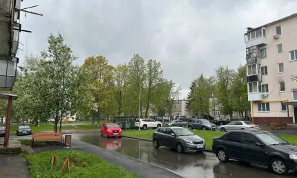 В День Победы синоптики прогнозируют в Татарстане дождь и потепление до +18 - НТР 24