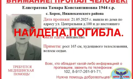 Бывшую директрису школы в Нижнекамске нашли мертвой после нескольких дней поиска - НТР 24