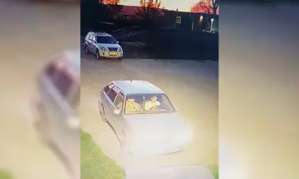 В Нижнекамске парни на «четырнадцатой» испортили тропу в экопарке - НТР 24