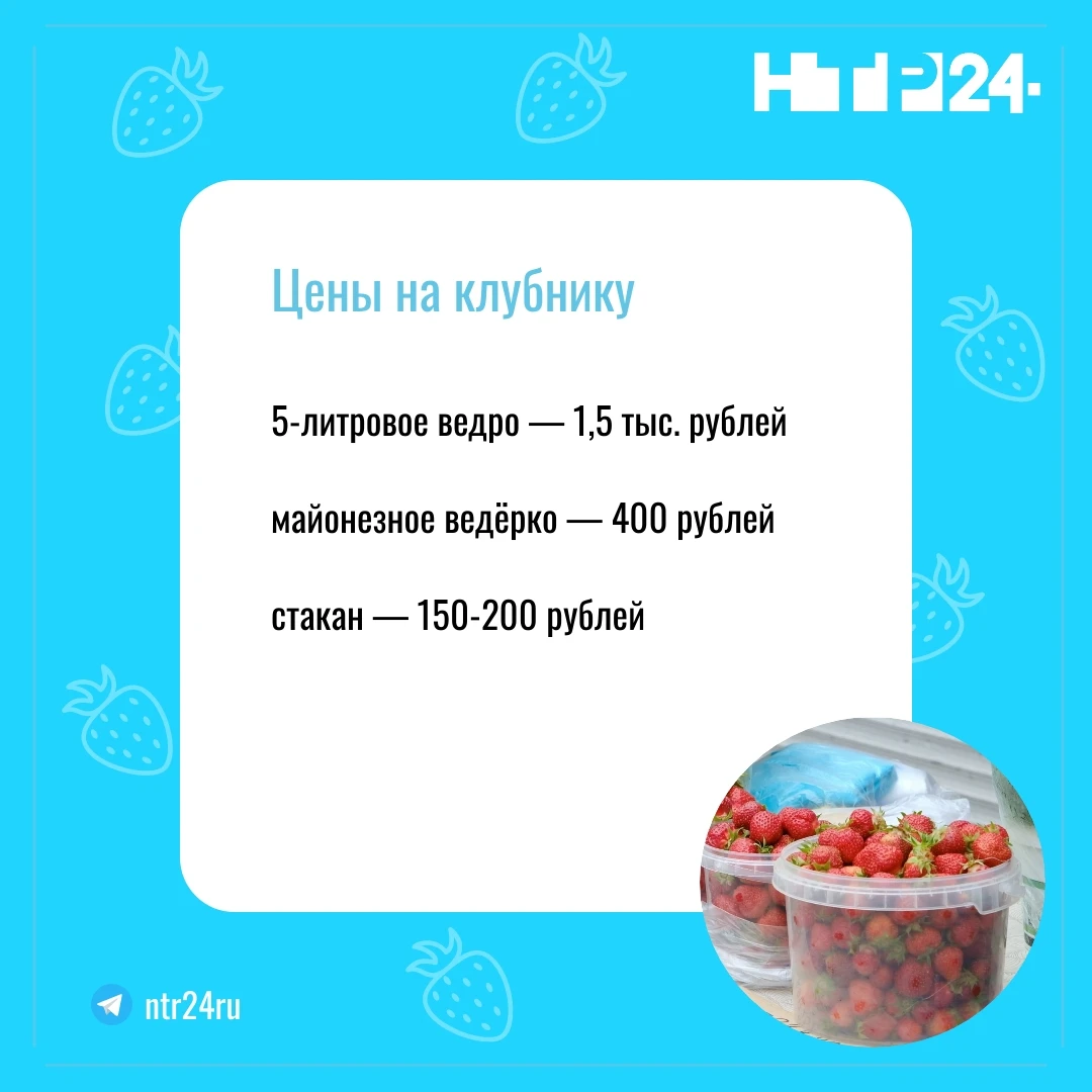 Цены на клубнику: пятилитровое ведро — 1,5 тыс. рублей; майонезное ведёрко — 400 рублей; стакан — 150-200 рублей