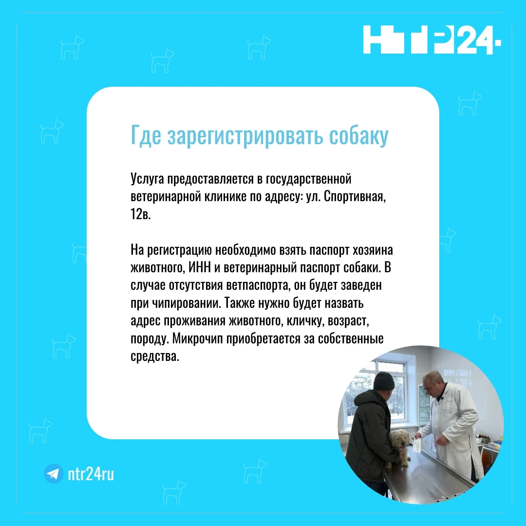 Где зарегистрировать собаку? Услуга предоставляется в государственной ветеринарной клинике по адресу: ул. Спортивная, 12в.    На регистрацию необходимо взять паспорт хозяина животного, ИНН и ветеринарный паспорт собаки. В случае отсутствия ветпаспорта, он будет заведен при чипировании. Также нужно будет назвать адрес проживания животного, кличку, возраст, породу. Микрочип приобретается за собственные средства.