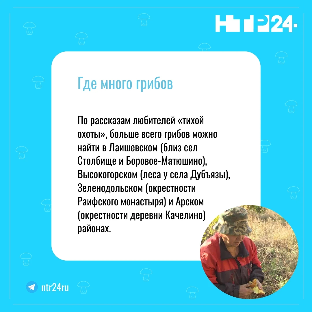 По рассказам любителей «тихой охоты», больше всего грибов можно найти в Лаишевском (близ сёл Столбище и Боровое-Матюшино), Высокогорском (леса у села Дубъязы), Зеленодольском (окрестности Раифского монастыря) и Арском (окрестности деревни Качелино) районах