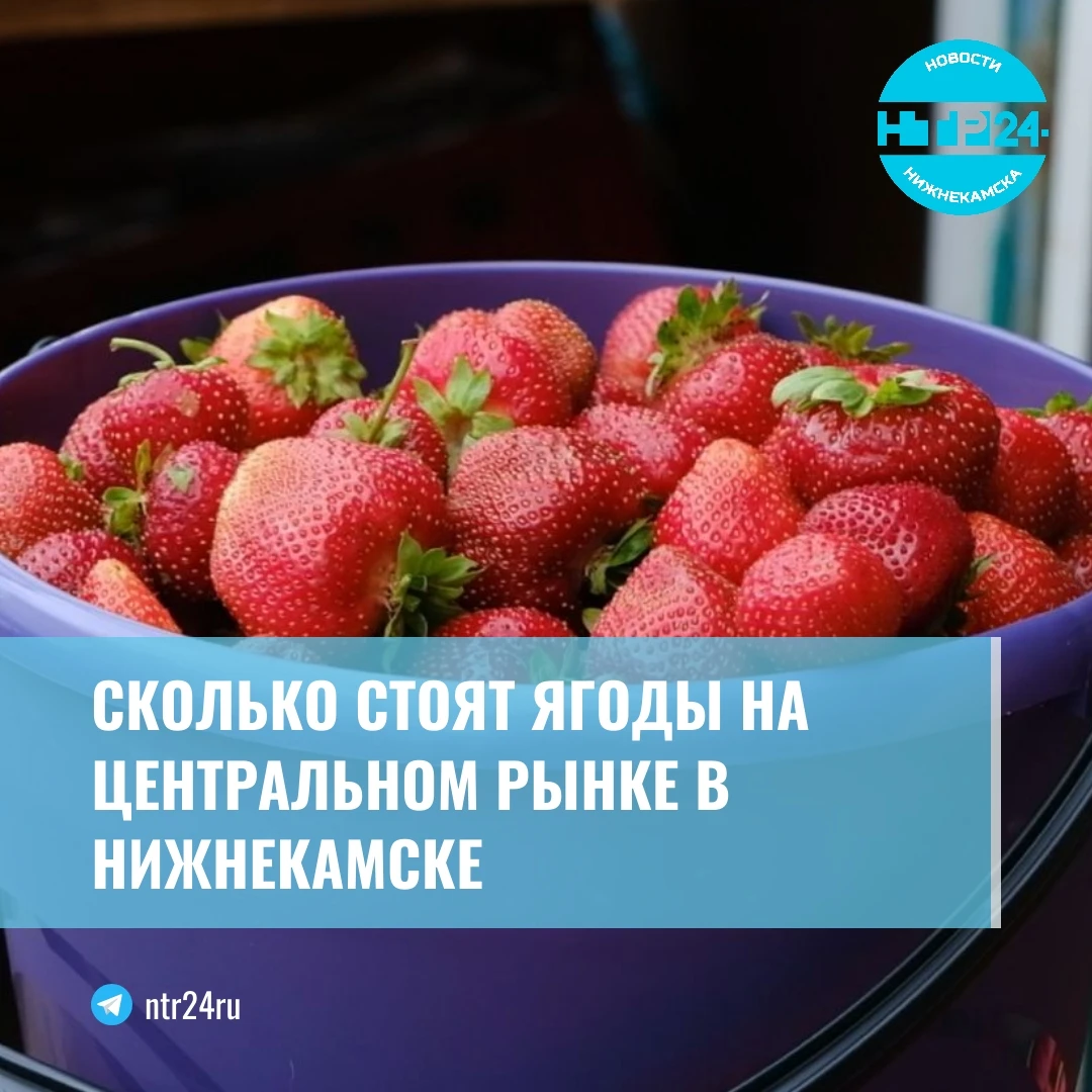 сколько стоят ягоды на центральном рынке в нижнекамске