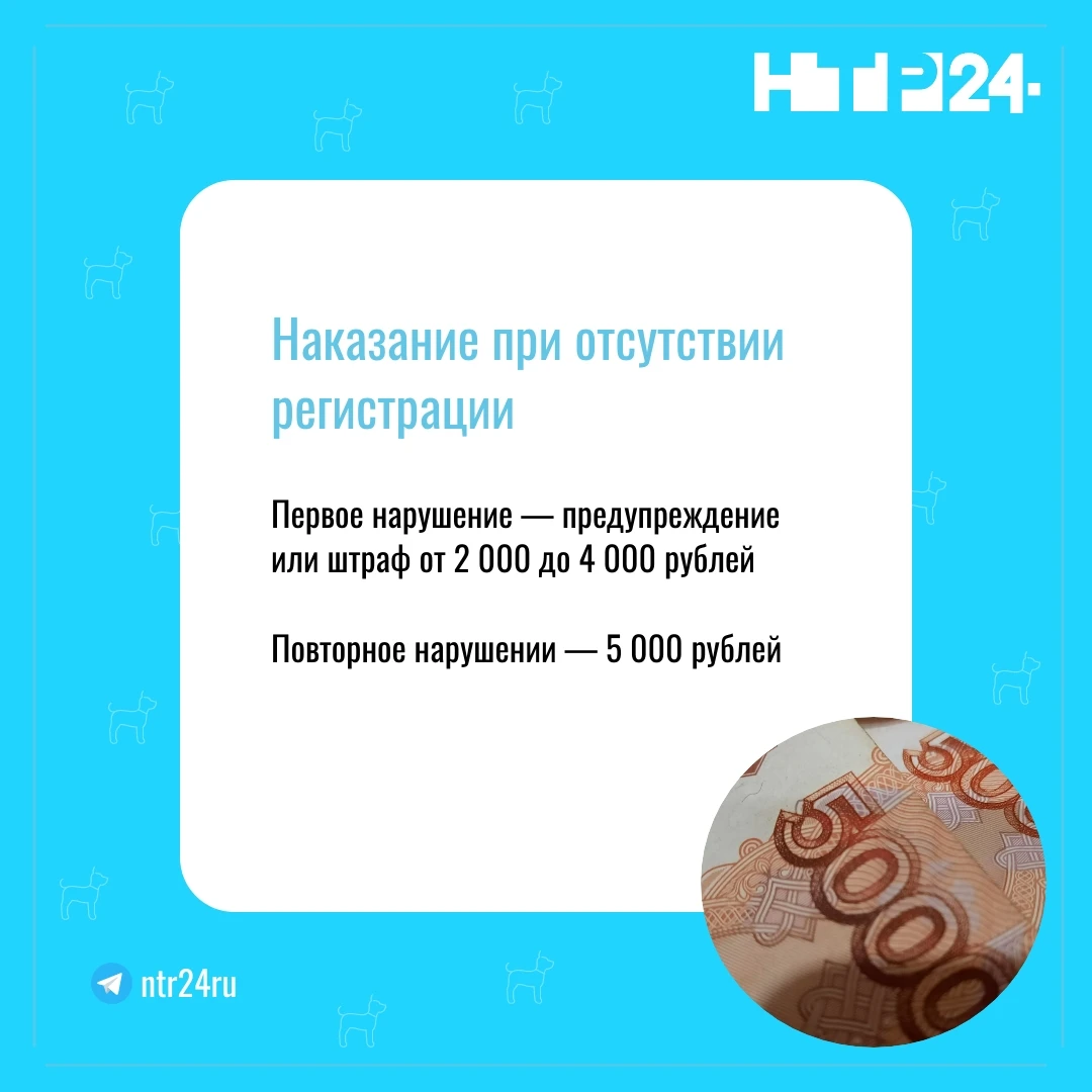 Наказание при отсутствии регистрации. Первое нарушение — предупреждение или штраф от 2 000 до 4 000 рублей    Повторное нарушении — 5 000 рублей
