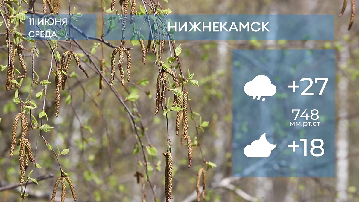 Прогноз погоды в Нижнекамске на 11-е июня 2025 года