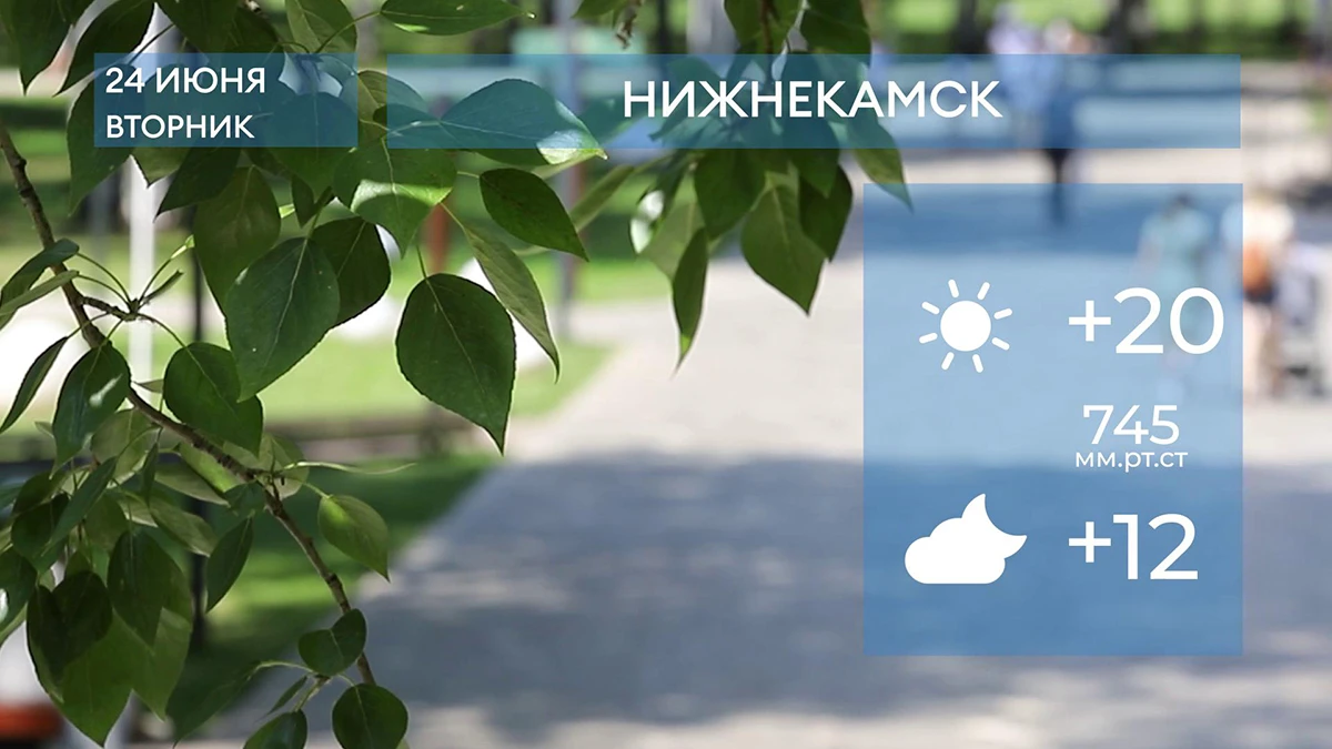 Прогноз погоды в Нижнекамске на 24-е июня 2025 года