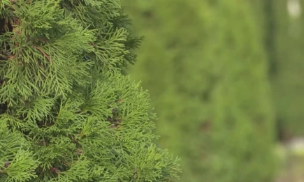 В Татарстане определили 5 санаториев регионального значения - НТР 24