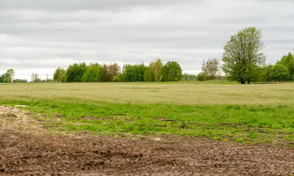 В Татарстане расширяют базу свободных земель для строительства жилья - НТР 24