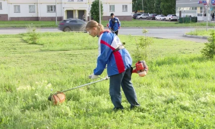Нижнекамские студенты привели в порядок городские газоны - НТР 24