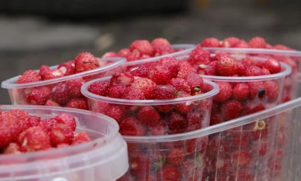 Опасные ягоды: Роспотребнадзор предупреждает нижнекамцев об опасности уличной торговли - НТР 24