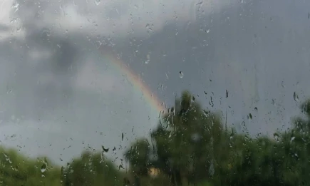 В Татарстане 27 июня ожидаются дожди с грозой и градом - НТР 24