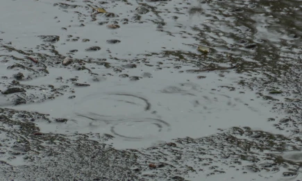 Из-за непогоды в Сочи задержан авиарейс до Нижнекамска - НТР 24