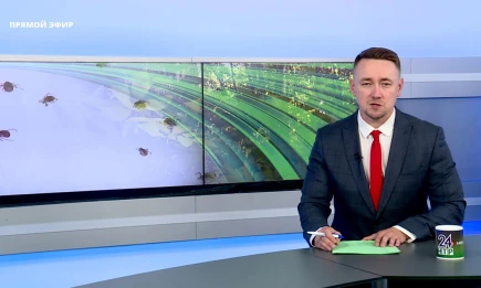 Новости Нижнекамска. Эфир 18.06.2025 - НТР 24