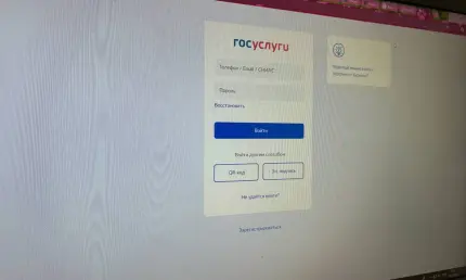 «Госуслуги» ужесточили процедуру смены пароля для защиты от мошенников - НТР 24
