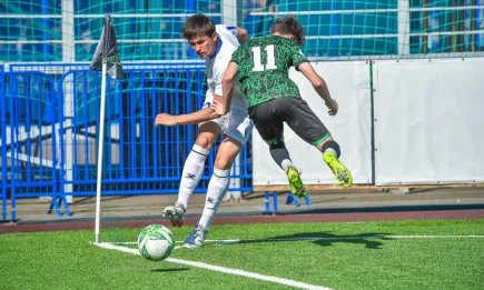 Одни умилили, другие огорчили - НТР 24