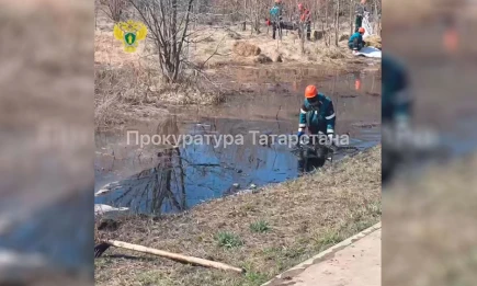 Разлитая нефть уничтожила плодородный слой почвы в Татарстане - НТР 24