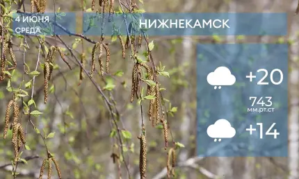 Прогноз погоды в Нижнекамске на 4-е июня 2025 года - НТР 24