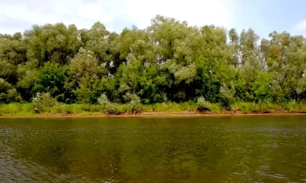 Врач рассказал об опасной инфекции в озёрах - НТР 24