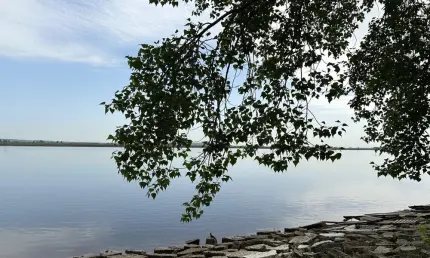 Вильфанд заявил, что 2025 год может стать одним из самых жарких в истории - НТР 24