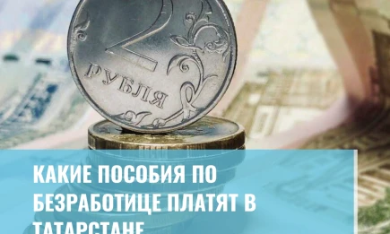 Какие пособия по безработице платят в Татарстане - НТР 24