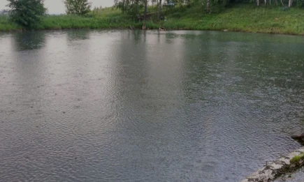 Трагедия на воде в Татарстане: мужчина утонул недалеко от берега - НТР 24