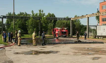 В Нижнекамске пожарные спасли лося, который не мог выбраться из водоёма - НТР 24