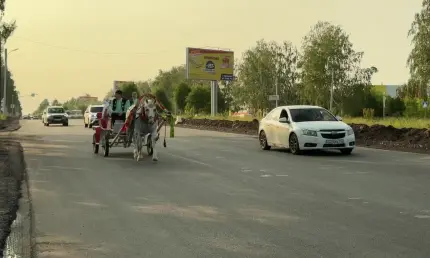 Артисты на повозке собрали подарки на нижнекамский Сабантуй - НТР 24