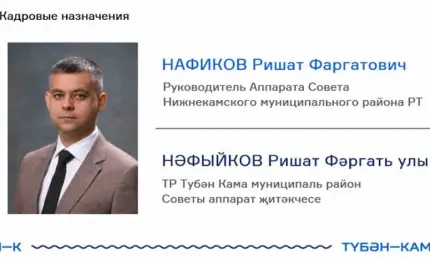 Назначен новый руководитель аппарата Совета Нижнекамского района - НТР 24