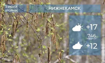 Прогноз погоды в Нижнекамске на 3-е июня 2025 года - НТР 24