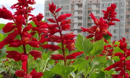 Метеорологи рассказали, ждать ли потепления в Татарстане на этой неделе - НТР 24