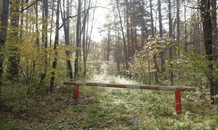 В Нижнекамском районе на три недели ограничили въезд в леса из-за высокой пожароопасности - НТР 24