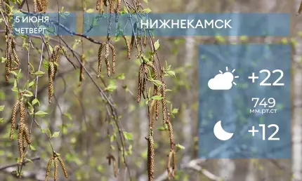Прогноз погоды в Нижнекамске на 5-е июня 2025 года - НТР 24