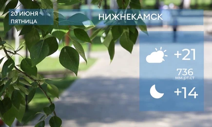 Прогноз погоды в Нижнекамске на 20-е июня 2025 года - НТР 24