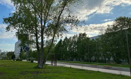 Радмир Беляев сообщил о сбитом украинском БПЛА над Нижнекамском - НТР 24