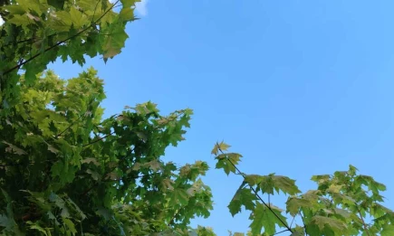 Режим «Беспилотная опасность» действовал в Татарстане почти 18 часов - НТР 24