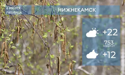 Прогноз погоды в Нижнекамске на 6-е июня 2025 года - НТР 24