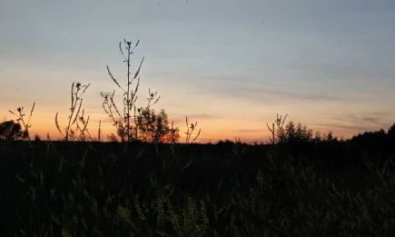 Лето откладывается: до конца июня сохранится прохладная и дождливая погода - НТР 24