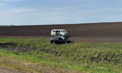 В Нижнекамском районе девушка пострадала в аварии из-за ошибки водителя - НТР 24