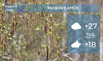 Прогноз погоды в Нижнекамске на 11-е июня 2025 года - НТР 24