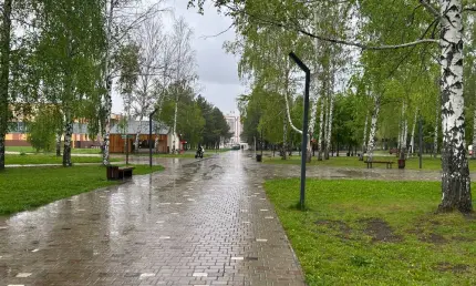 Циклоны принесут в Татарстан дожди и ветер - НТР 24